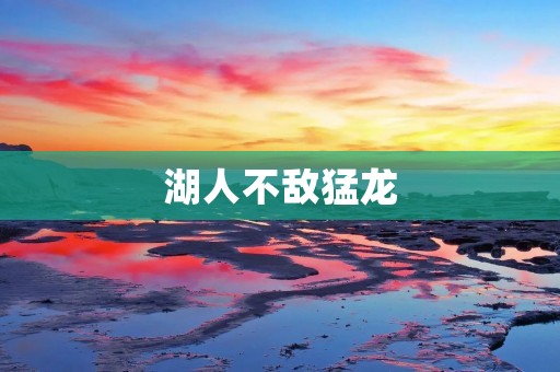 湖人不敌猛龙:一场惨败的背后故事 湖人不敌猛龙:一场惨败的背后故事