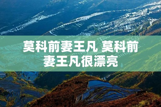 莫科前妻王凡 莫科前妻王凡很漂亮
