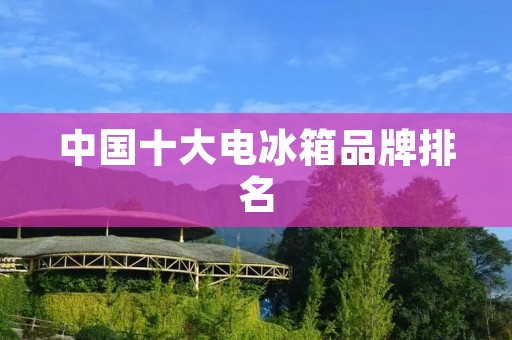 中国十大电冰箱品牌排名：高品质与创新引领市场竞争