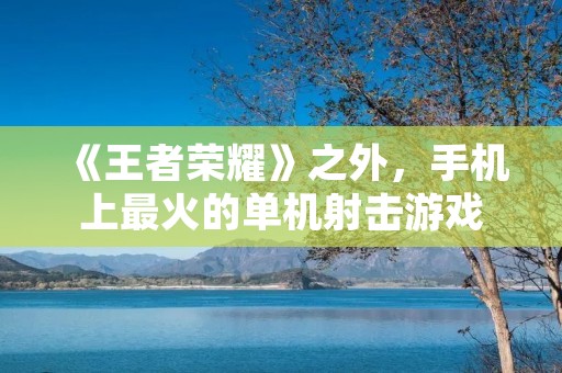 《王者荣耀》之外,手机上最火的单机射击游戏