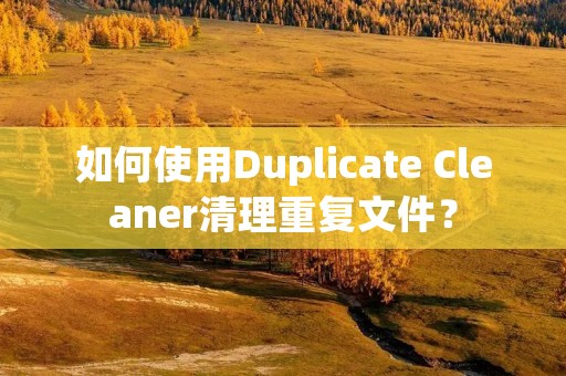 如何使用Duplicate Cleaner清理重复文件? 如何使用Duplicate Cleaner清理重复文件?