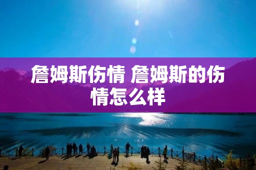 詹姆斯伤情 詹姆斯的伤情怎么样 詹姆斯伤情 詹姆斯的伤情怎么样