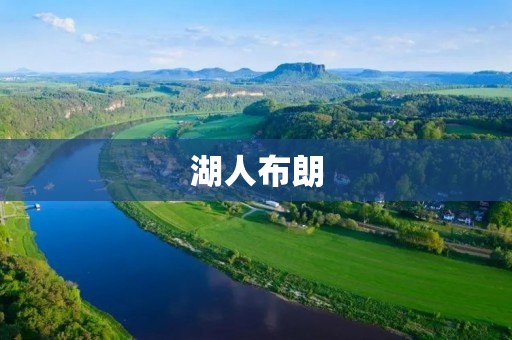 湖人布朗:新晋明星在湖人队的崛起 湖人布朗:新晋明星在湖人队的崛起