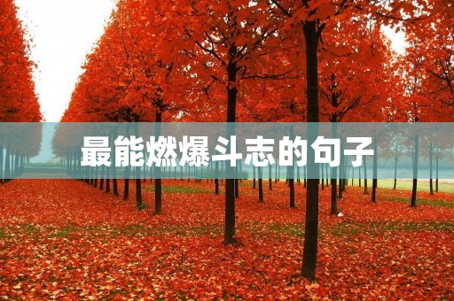 最能燃爆斗志的句子：激励你前行的力量