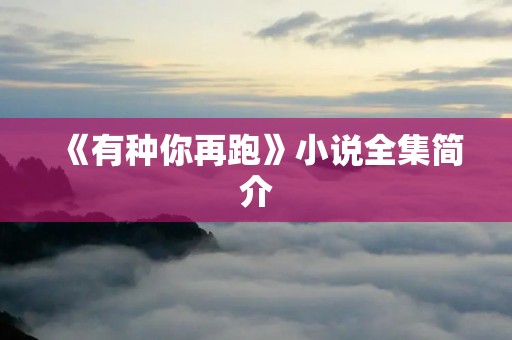 《有种你再跑》小说全集简介