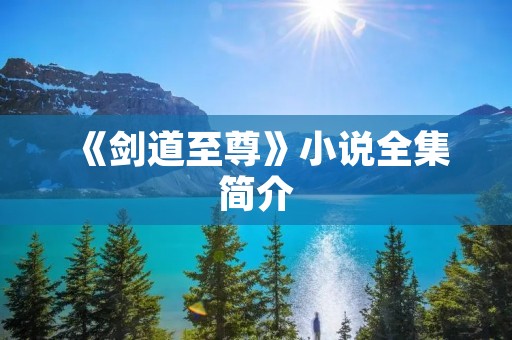 《剑道至尊》小说全集简介