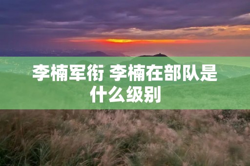 李楠军衔 李楠在部队是什么级别 李楠军衔 李楠在部队是什么级别