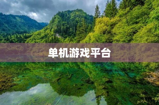 单机游戏平台:打造高品质游戏体验 单机游戏平台:打造高品质游戏体验
