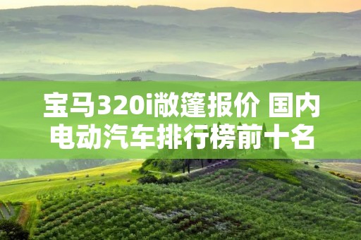 宝马320i敞篷报价 国内电动汽车排行榜前十名 宝马320i敞篷报价 国内电动汽车排行榜前十名