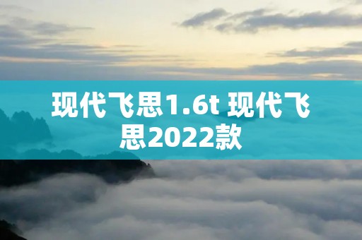现代飞思1.6t 现代飞思2022款 现代飞思1.6t 现代飞思2022款