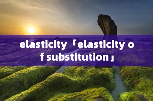 elasticity「elasticity of substitution」