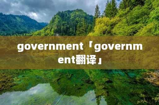government「government翻译」