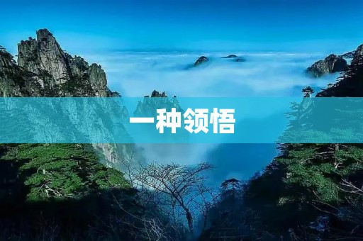 一种领悟:追求内心平静的生活方式 一种领悟:追求内心平静的生活方式