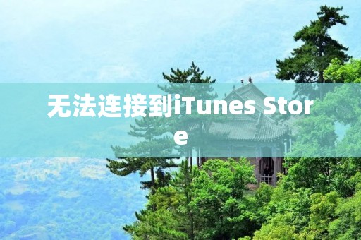 无法连接到iTunes Store:解决方法和可能原因 无法连接到iTunes Store:解决方法和可能原因