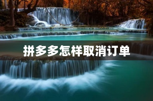 拼多多怎样取消订单:详细步骤及注意事项