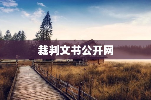 裁判文书公开网：打开司法公正之门
