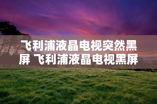 飞利浦液晶电视突然黑屏 飞利浦液晶电视黑屏没图像