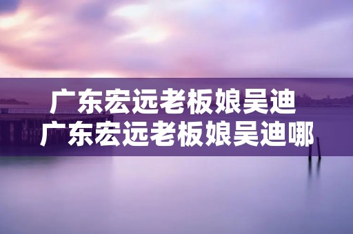 广东宏远老板娘吴迪 广东宏远老板娘吴迪哪年出生
