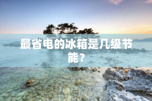 最省电的冰箱是几级节能？