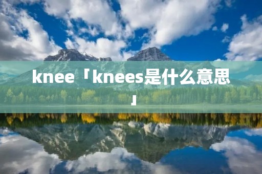 knee「knees是什么意思」
