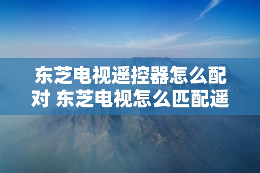 东芝电视遥控器怎么配对 东芝电视怎么匹配遥控器 东芝电视遥控器怎么配对 东芝电视怎么匹配遥控器