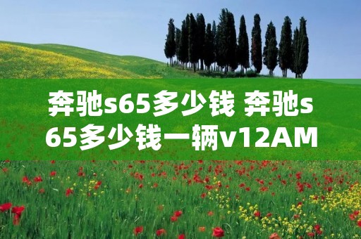 奔驰s65多少钱 奔驰s65多少钱一辆v12AMG 奔驰s65多少钱 奔驰s65多少钱一辆v12AMG