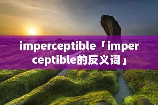 imperceptible「imperceptible的反义词」