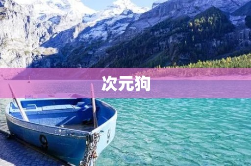 次元狗:探索虚拟世界的新伙伴 次元狗:探索虚拟世界的新伙伴