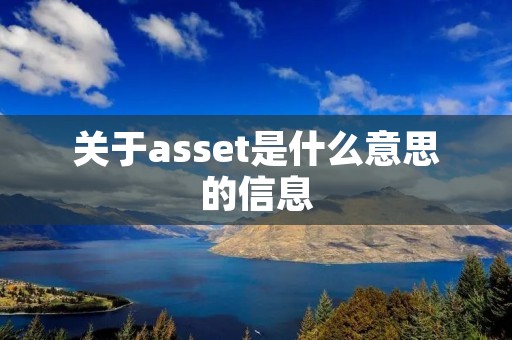 关于asset是什么意思的信息 关于asset是什么意思的信息