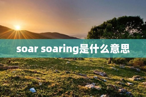 soar soaring是什么意思