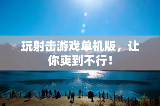 玩射击游戏单机版，让你爽到不行！