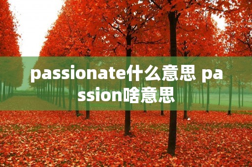 passionate什么意思 passion啥意思