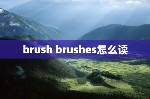 brush brushes怎么读