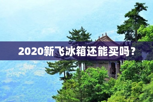 2020新飞冰箱还能买吗？