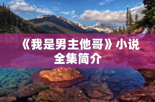《我是男主他哥》小说全集简介