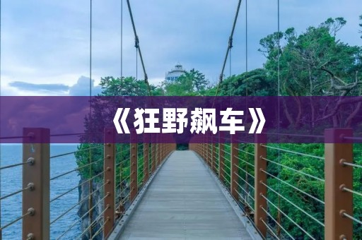 《狂野飙车》:最经典的手机单机游戏