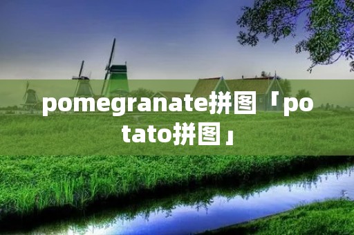 pomegranate拼图「potato拼图」