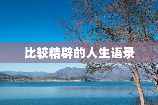 比较精辟的人生语录