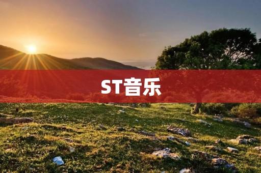 ST音乐：让音乐更加个性化的音乐平台