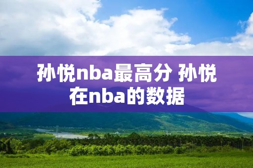 孙悦nba最高分 孙悦在nba的数据