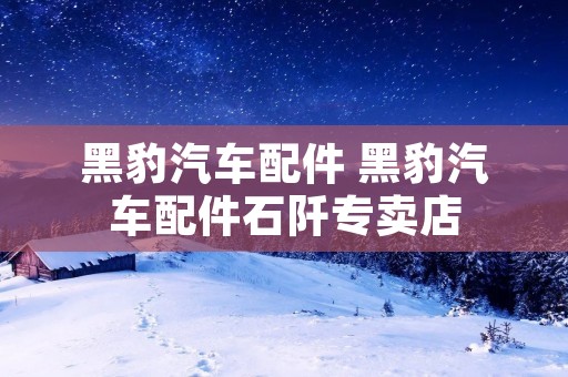 黑豹汽车配件 黑豹汽车配件石阡专卖店 黑豹汽车配件 黑豹汽车配件石阡专卖店