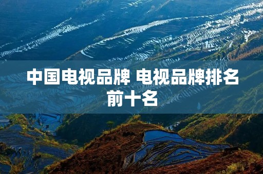 中国电视品牌 电视品牌排名前十名