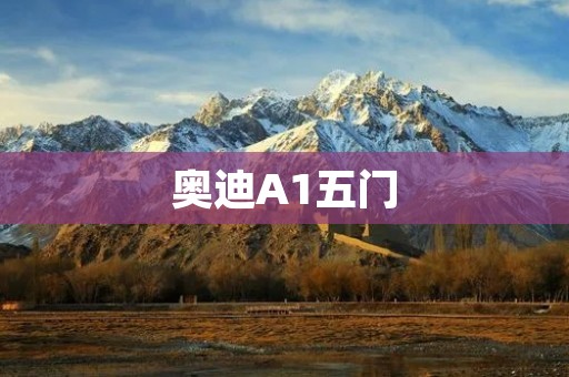奥迪A1五门：一款时尚与实用兼具的豪华小车