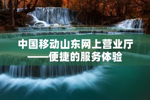 中国移动山东网上营业厅——便捷的服务体验