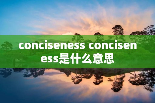 conciseness conciseness是什么意思 conciseness conciseness是什么意思