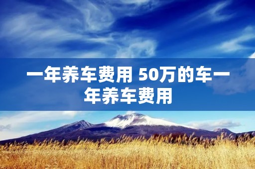 一年养车费用 50万的车一年养车费用