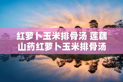 红萝卜玉米排骨汤 莲藕山药红萝卜玉米排骨汤