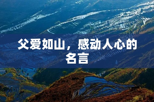 父爱如山,感动人心的名言 父爱如山,感动人心的名言