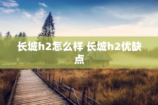 长城h2怎么样 长城h2优缺点