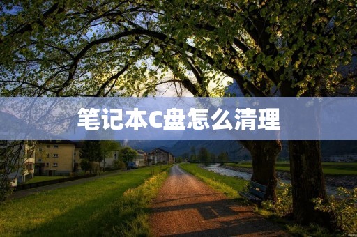 笔记本C盘怎么清理:从磁盘清理到优化电脑性能
